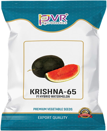 P.V.R. HY- WATER MELON – KIRSHNA -65