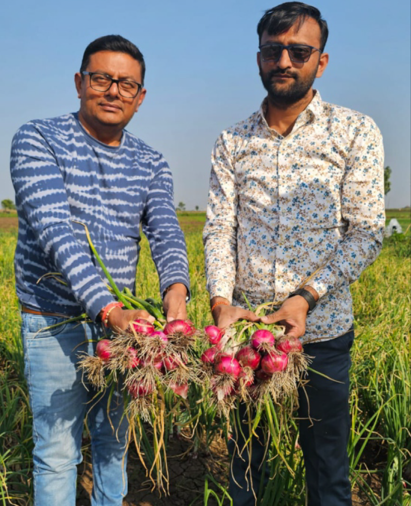 P.V.R. Research – Onion 110